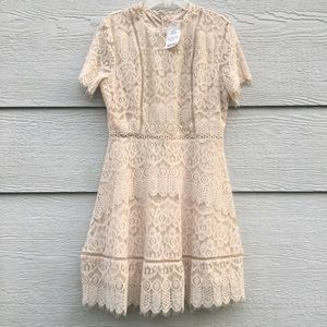 Cream Lace Dress